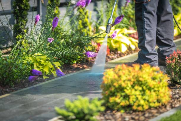 Best Dumpster Area Cleaning  in Taos, MO
